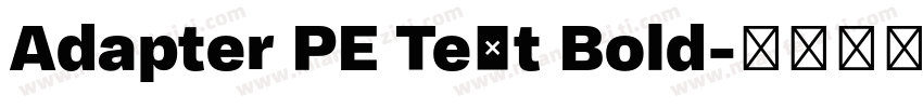 Adapter PE Text Bold字体转换